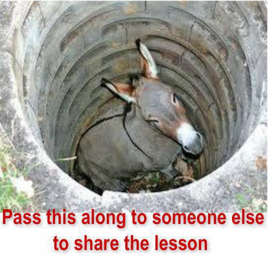 lessons from the well - there's nothing wrong with being an ass once in a while!